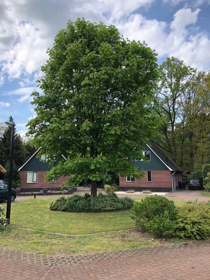 'T Hulzen 55 Or 61 Winterswijk Villa Exterior foto